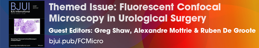 Themed Issue: Fluorescent Confocal Microscopy in Urological Surgery