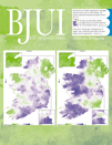 BJUI cover image - Volume 110, Issue 11